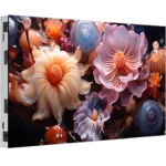 Nexus Series LED Display