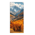 Cipher Series LED Display