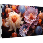 Nexus Series LED Display