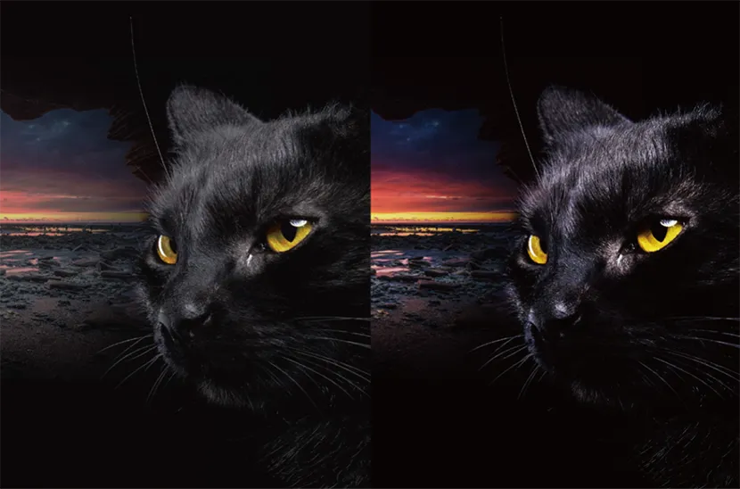 Ultra High Contrast Ratio